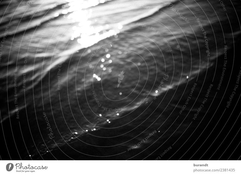 Summer at the sea II Environment Nature Water Sunrise Sunset Waves Coast Beach North Sea Ocean Esthetic Abstract Glittering Black & white photo Exterior shot