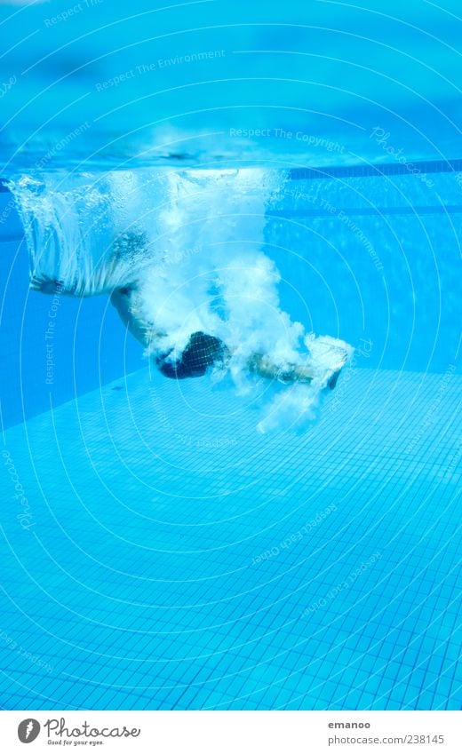 take a breath Leisure and hobbies Summer Aquatics Swimming & Bathing Dive Swimming pool Human being Masculine Man Adults 1 Water Movement Jump Cold Wet Blue