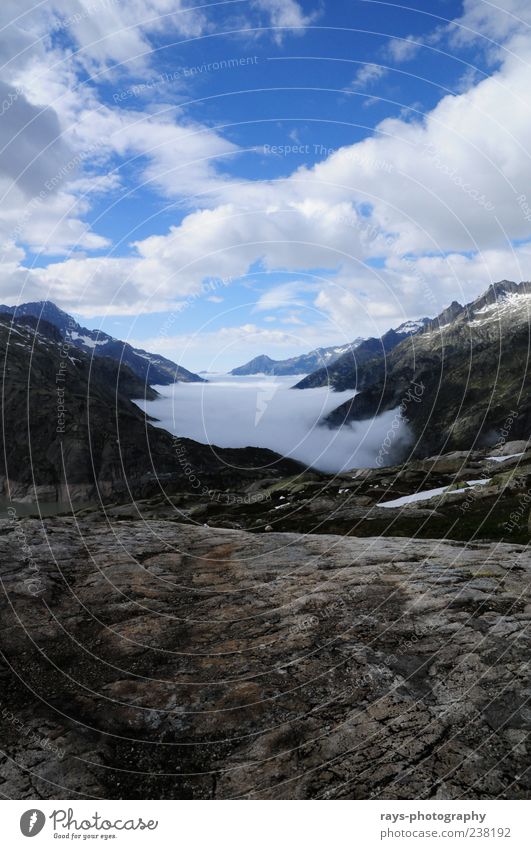 Sea of fog at 4.30 p.m. Nature Air Sky Weather Mountain Infinity Cold Beautiful Colour photo Exterior shot Deserted Day Light Deep depth of field