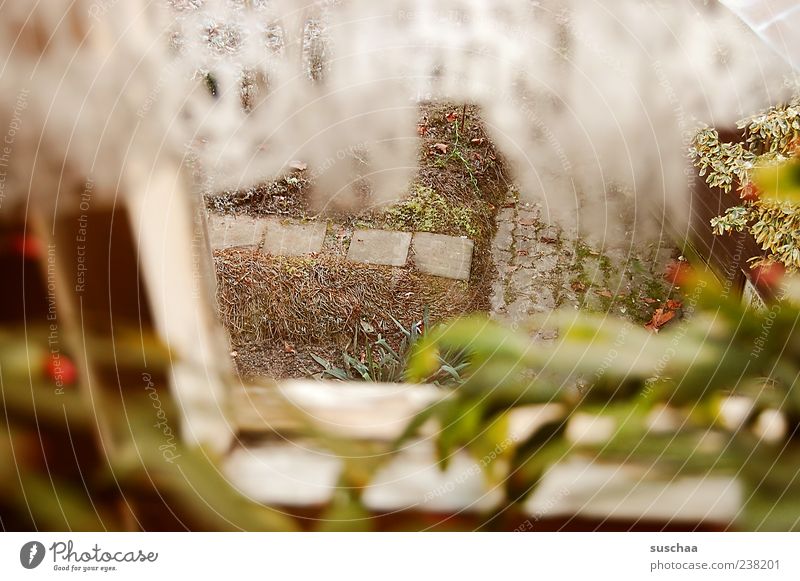 outlook Pot plant Garden Window Emotions Moody Cold View from a window Curtain Window frame Plant Garden path Colour photo Deserted Blur Spy Observe