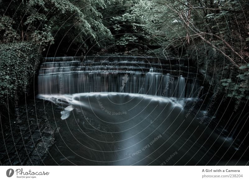 there was something missing Nature Water Drops of water Tree River Waterfall Exceptional Dark Wild Black England Flow Smoke-filled Fog To fall Subdued colour