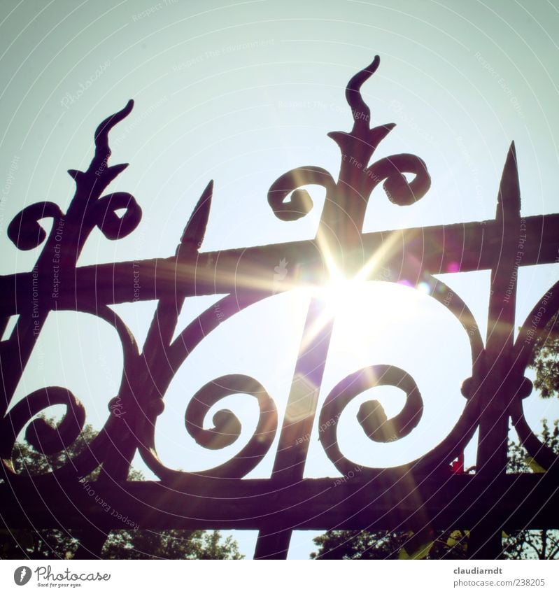 Mainly sunny... Cloudless sky Sun Summer Beautiful weather Tree Garden Illuminate Hot Bright Warmth Fence Wrought ironwork Metal Metalware Glare effect