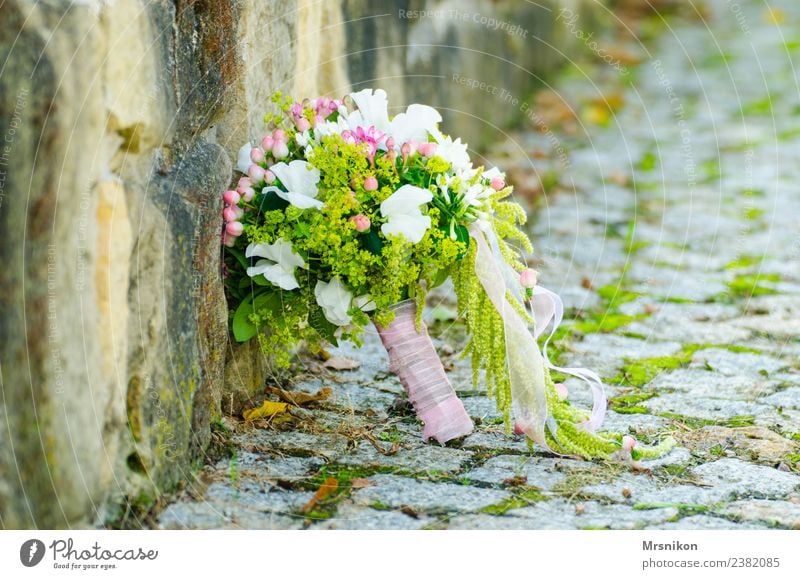 wedding Wedding Bouquet Esthetic Fresh Happy Infinity Wedding couple Flower Bound Love Green Vail Pink Infatuation Wall (barrier) Colour photo Exterior shot