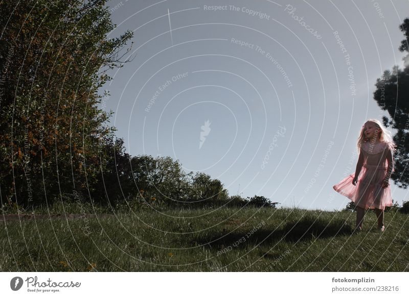 stargazer girl Child Girl Infancy Girlish romantic Nature Feminine Joie de vivre (Vitality) Dress Fairy Looking Jump untroubled Angel Dream Dreamily Esthetic