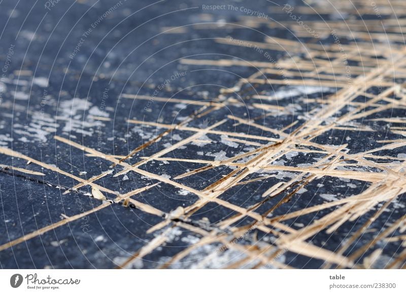 scratched Board Floor covering Stage Wood Line Old Sharp-edged Broken Brown Gray Black Effort Decline Change Destruction Scratched Furrow Pattern Muddled Chaos