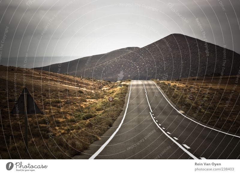 Road to nowhere Environment Climate Mountain Peak Volcano Street Signs and labeling Road sign Freedom Vacation & Travel Colour photo Subdued colour