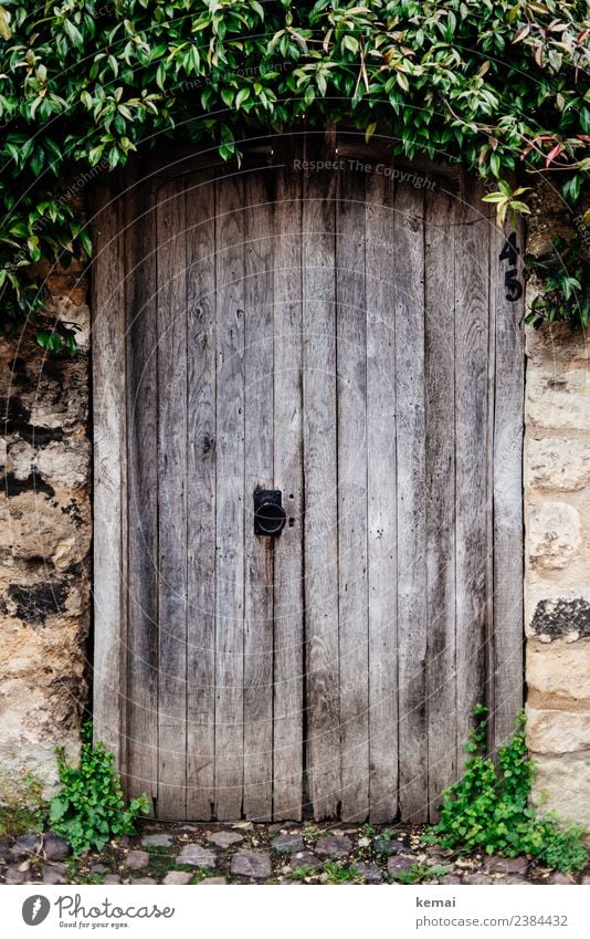 Locked door with hood Harmonious Calm Trip City trip Plant Bushes Foliage plant Village Small Town Old town Wall (barrier) Wall (building) Door Wooden door