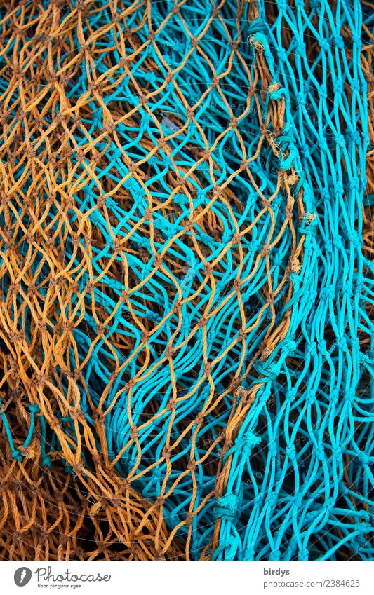 fishing nets Craft (trade) Fishery Fishing net Plastic Authentic Orange Turquoise Colour Crisis Calm Tradition Net full-frame image Maritime Colour photo