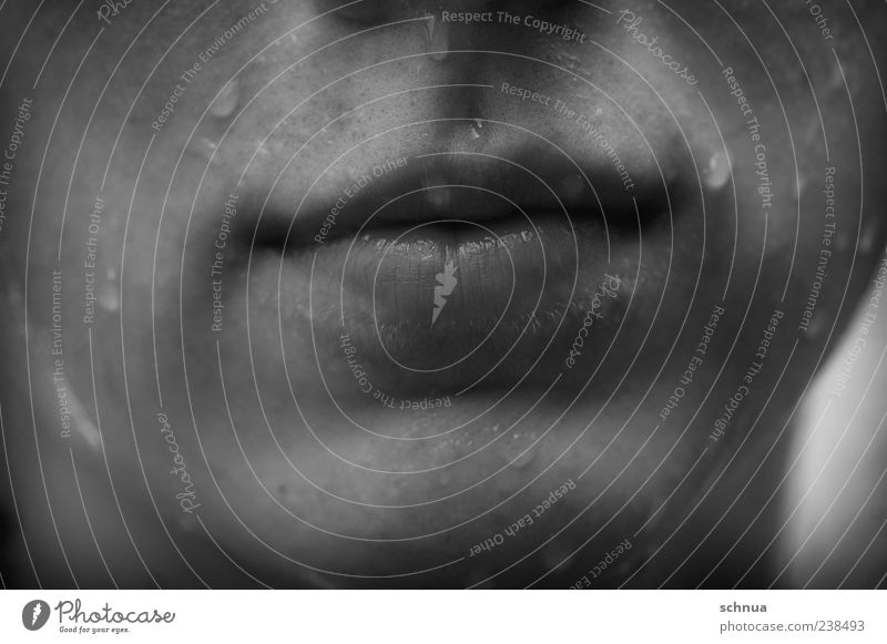 Wet refreshment Human being Masculine Head 1 Water Drops of water Summer Rain Fluid Free Fresh Cold Juicy Gray Black White Perspiration Black & white photo