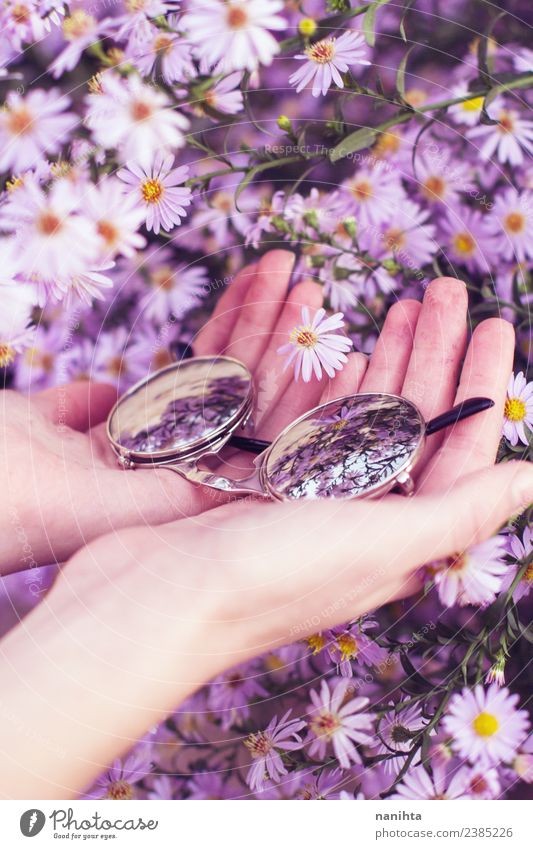 Hands holding sunglasses surrounded by flowers Exotic Environment Nature Plant Spring Flower Eyeglasses Sunglasses To hold on Fresh Infinity Bright Beautiful