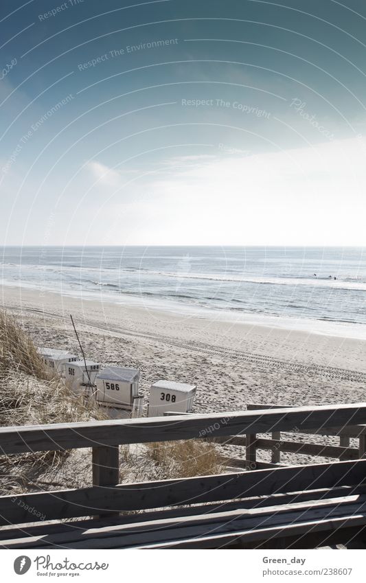 Sylt Beach Ocean Landscape Sand Beautiful weather Coast Infinity Small Contentment Beach chair Surfer Colour photo Exterior shot Light Sunlight Handrail Wood