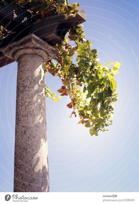 Piece of Paradise. Art Esthetic Paradisical Rome Column Garden Garden art Green Sandstone Sky Heavenly Vacation & Travel Vacation photo Vacation mood