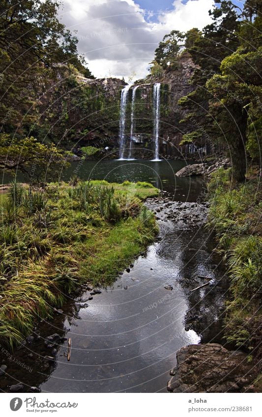 water if Nature Plant Elements Water Sky Clouds Beautiful weather Grass Bushes Rock River bank Pond Brook Waterfall Stone Fluid Tall Wet Natural Green