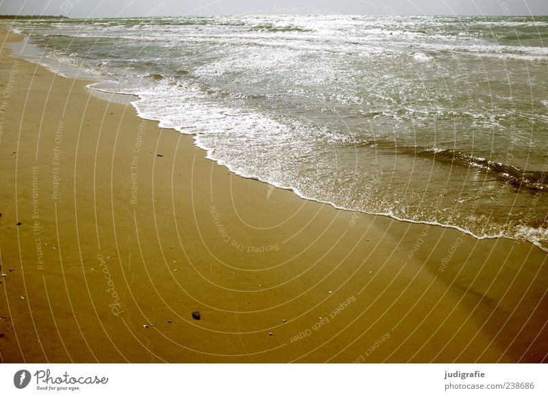 western beach Environment Nature Landscape Sand Water Sunlight Summer Waves Coast Beach Baltic Sea Darss Fantastic Infinity Wet Natural Moody Colour photo