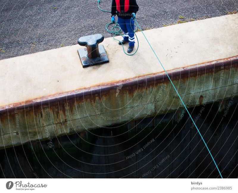 sod off Work and employment Workplace Logistics Docker Masculine Man Adults Body 1 Human being 30 - 45 years 45 - 60 years Harbour Jetty Navigation Rope