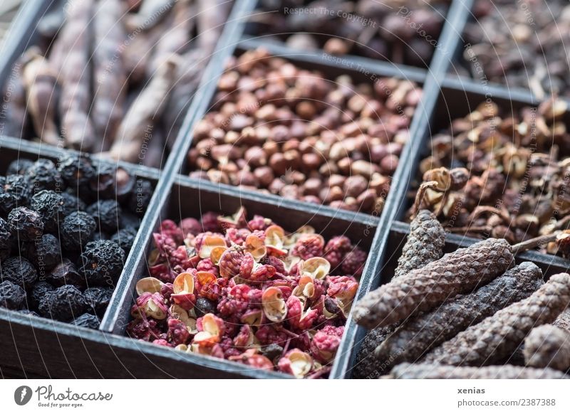 Eight kinds of pepper in a set case Herbs and spices Pepper Peppercorn Husk Szechuan pepper andaliman pepper long pepper Selimpfeffer grains of paradise