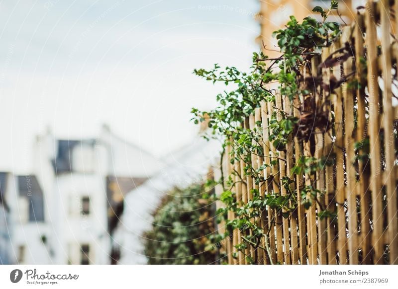 Fence, garden border, Brighton, England Garden border Town green Wooden fence cityscape Outskirts Shallow depth of field Exterior shot Colour photo Deserted