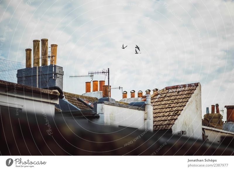 above the roofs III Sky Clouds Brighton Great Britain Europe Small Town Port City House (Residential Structure) Building Architecture Facade Roof Chimney