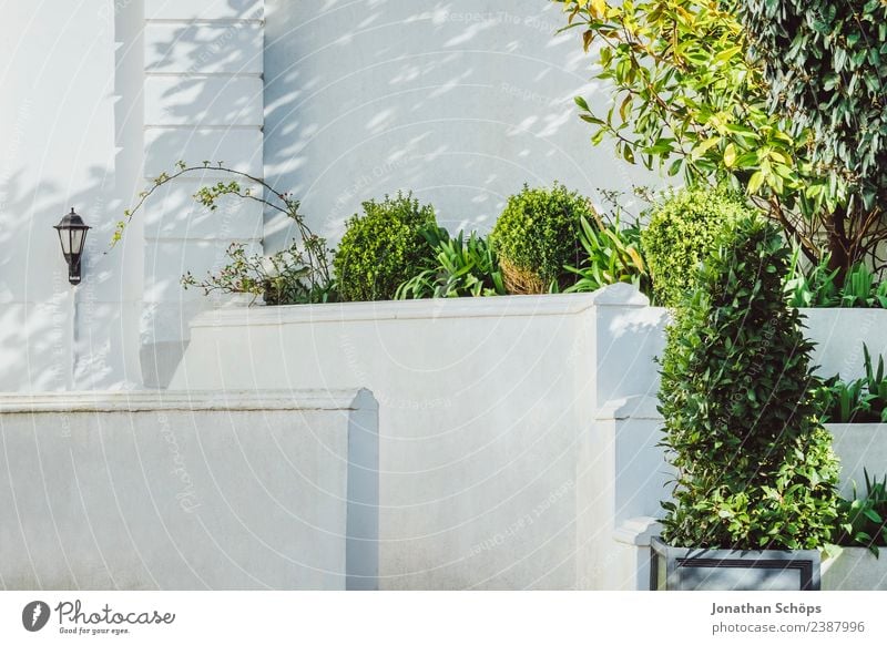 white facade affluent house, Brighton Town House (Residential Structure) Detached house Dream house Building Architecture Facade Terrace Contentment Hedge Green