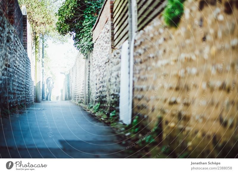 Lane in Brighton, England Town Outskirts Esthetic Alley Walking Wall (barrier) English Lanes & trails Pedestrian Pedestrian precinct Individual Right ahead