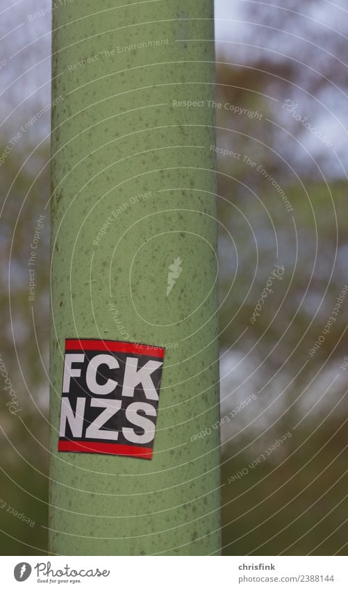 F*ck N*zis sticker Art Argument Sadness Emotions Honor Honest Tolerant Fairness Fear Horror Dangerous Frustration Threat Future Attachment Fascist neo-Nazi