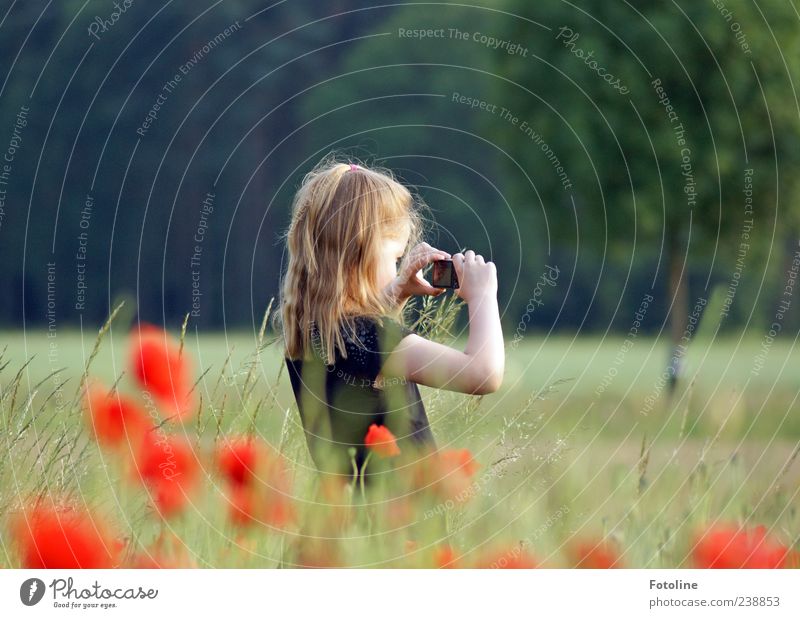 PC trainees Human being Child Girl Infancy Head Hair and hairstyles Arm Hand Environment Nature Plant Summer Tree Flower Grass Wild plant Meadow Bright Natural