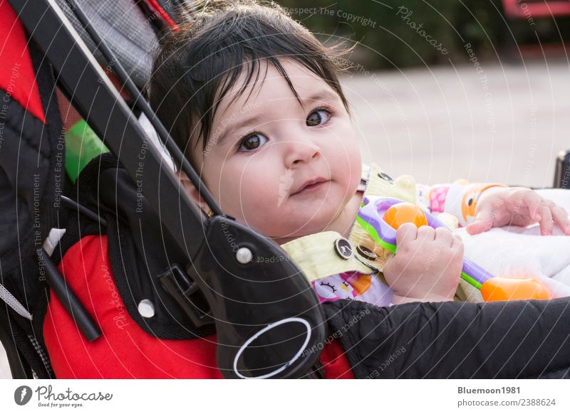 Beautiful baby playing with her toys at carriage at park Life Relaxation Child Human being Baby Infancy Nature Spring Flower Park Transport Baby carriage