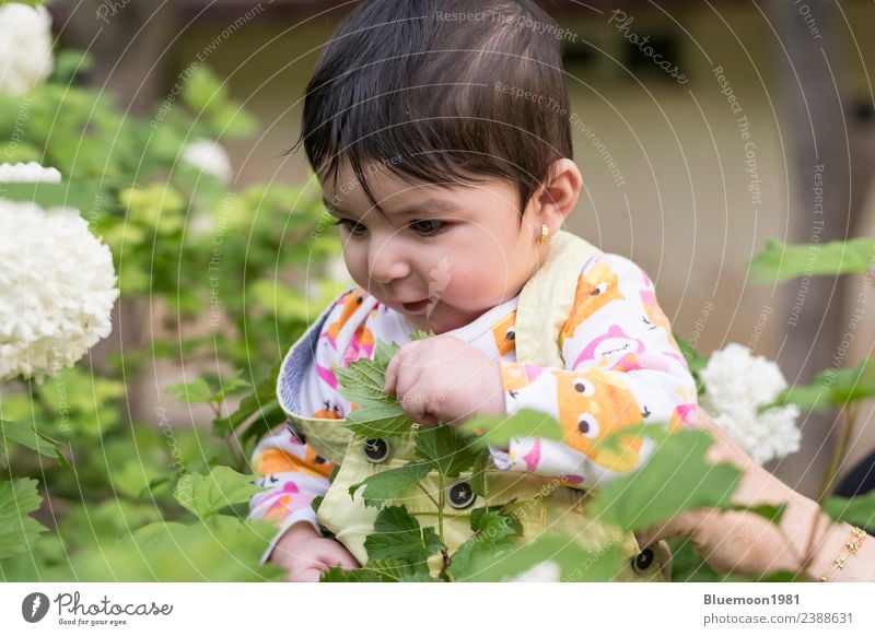 Little baby girl in colorful cloth inside spring flowers at park Beautiful Life Senses Relaxation Fragrance Playing Child Human being Baby Infancy Face Arm 1