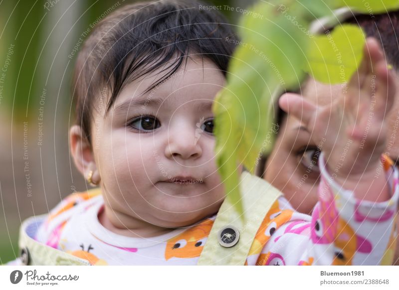 Little baby is touching new spring leaves in her mother's hug Lifestyle Beautiful Parenting Child Human being Baby Woman Adults Parents Mother