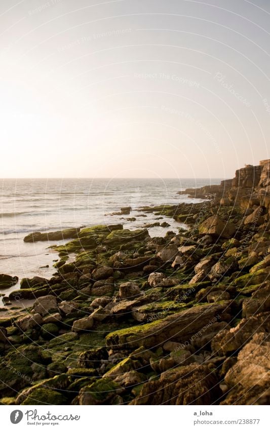 yearning for the sea Nature Landscape Elements Water Cloudless sky Horizon Sunrise Sunset Summer Beautiful weather Rock Coast Beach Ocean Stone Natural