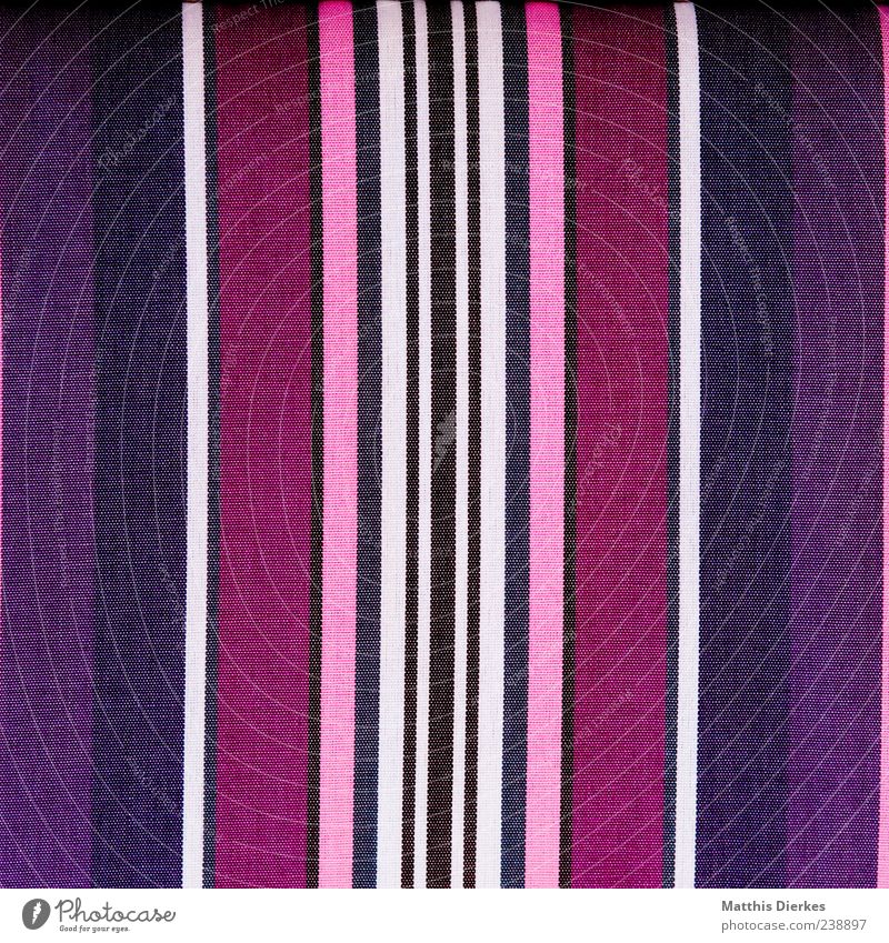 ||||||||||||||||||| Decoration Characters Signs and labeling Esthetic Crazy Beautiful Blue Violet Pink Black Line Background picture Neutral Background Symmetry