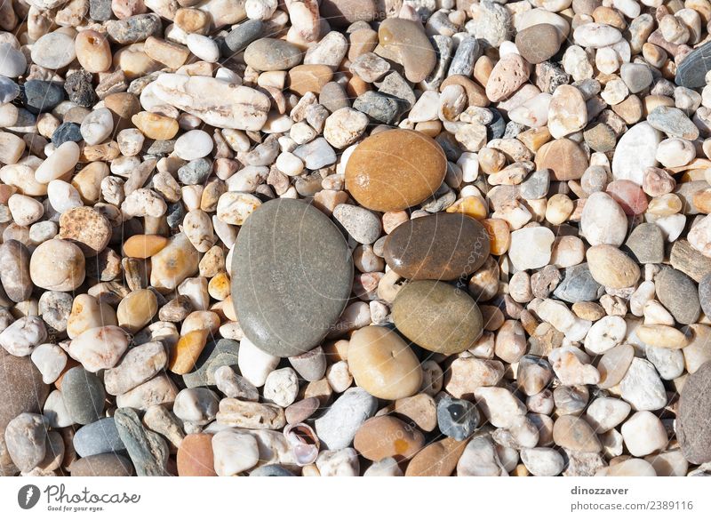 Stones in shape of footprint Design Joy Vacation & Travel Beach Human being Feet Nature Sand Rock Paw Rust Footprint Together Natural Brown Yellow Black step