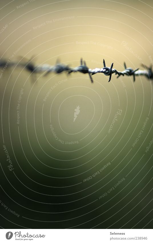 fear and anxiety Knot Aggression Threat Thorny Spine Barbed wire Barbed wire fence Captured Confine Colour photo Deserted Copy Space bottom Neutral Background