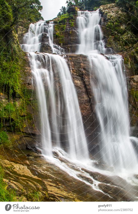 Ramboda Falls Sri Lanka Vacation & Travel Tourism Adventure Far-off places Expedition Mountain Environment Nature Landscape Water Virgin forest Rock River