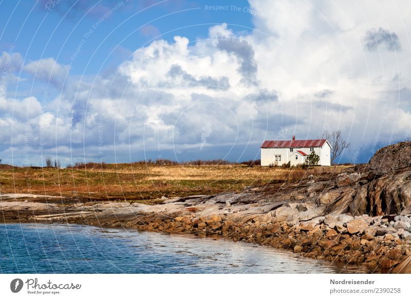 Life in the North Vacation & Travel Far-off places Ocean Island Nature Landscape Water Sky Clouds Spring Summer Autumn Beautiful weather Grass Meadow Coast