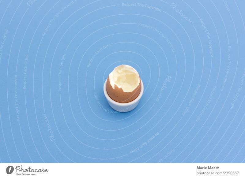 breakfast egg Food Egg Nutrition Breakfast Eating Simple Fresh Healthy Blue White Appetite Happy Albumin Yolk Colour photo Studio shot Deserted Copy Space top