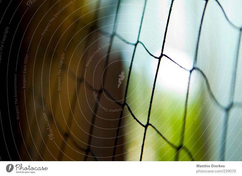 Closed Cold Time Grating Captured Hideous Barrier Gloomy Colour photo Interior shot Deserted Copy Space left Day Contrast Back-light Shallow depth of field Loop