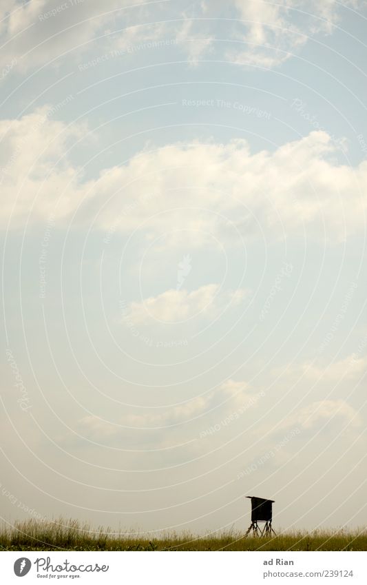 raised hide Nature Landscape Sky Clouds Summer Grass Bushes Deserted Hunting Blind Stagnating Moody Colour photo Exterior shot Copy Space top Day Far-off places