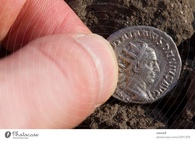 Roman silver coin (denarius) with the portrait of the emperor Business Round Brown Pink Silver Coin Money Discovery site Ground Field Arable land King Rome