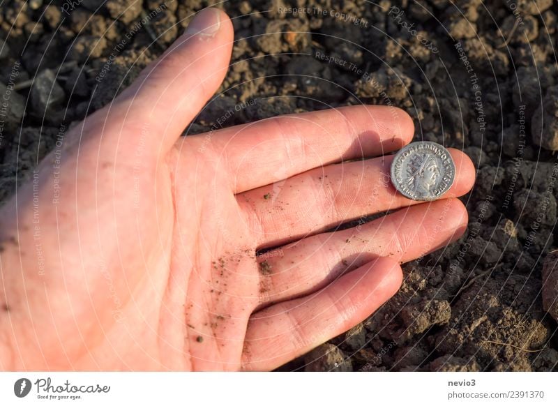 Roman silver coin (denarius) in the hand of an archaeologist Luxury Business Human being Adults Hand Fingers 1 18 - 30 years Youth (Young adults) Art Exhibition