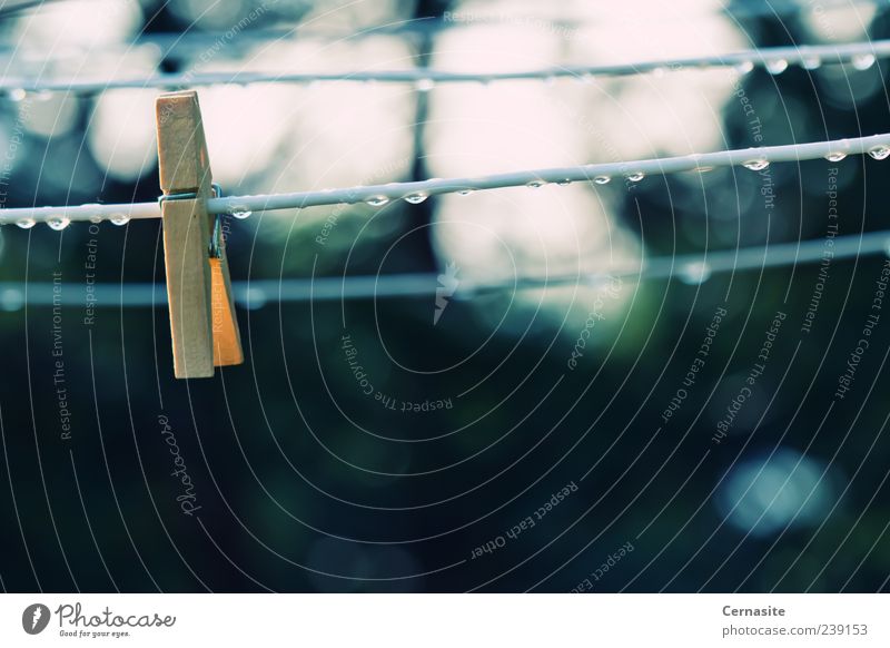 Rainy Days Drops of water Summer Bad weather Wood Old Esthetic Authentic Dark Thin Blue Green Emotions Moody Clothes peg Blur Laundry Rope Wet Gloomy Sadness