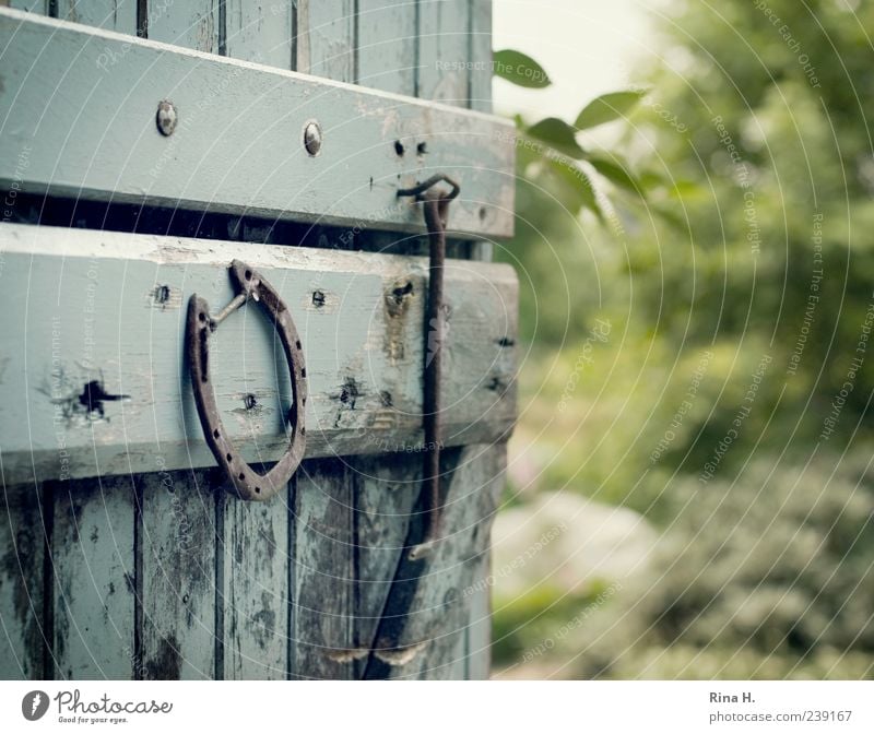 Beautiful view II Summer Authentic Blue Green Joie de vivre (Vitality) Happy Horseshoe Good luck charm Country life Natural Wooden door Barn door Colour photo