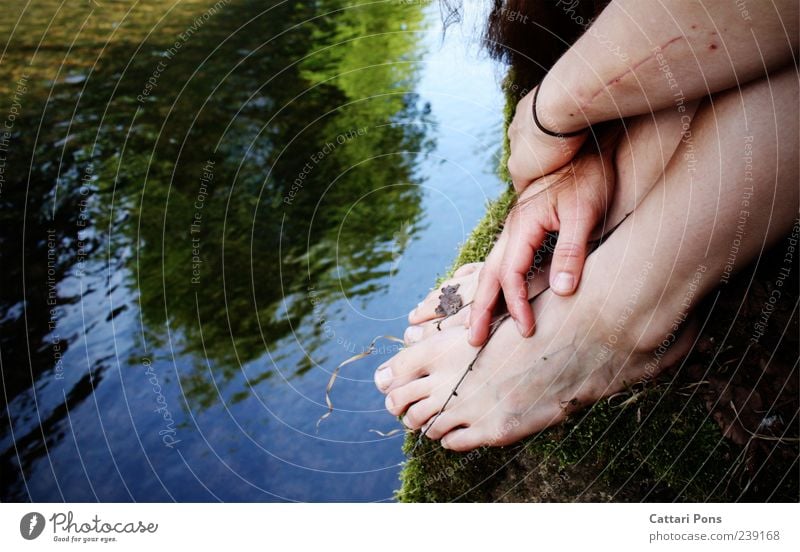 Faded Memory Park Brook River Barefoot Touch To hold on Hang Lie Sit Uniqueness Wet Natural Thin Trust Safety Calm Twig Reflection Scar Dirty Hand Feet