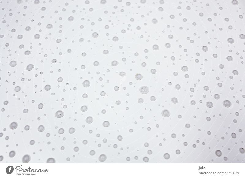 rainy day Water Drops of water Rain Wet Gray White Colour photo Exterior shot Deserted Neutral Background Day Many Lie Bright background