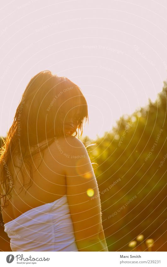 good morning sunshine Hair and hairstyles Spring Summer Long-haired Beautiful Natural Exterior shot Day Rear view Back Shoulder Back-light Dark-haired Sunlight