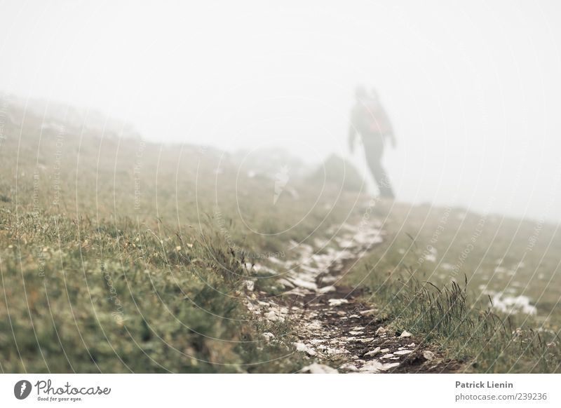 fight through Trip Adventure Freedom Human being 1 Environment Nature Landscape Elements Earth Air Weather Bad weather Storm Rain Meadow Hill Mountain Going