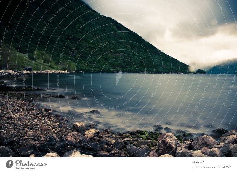 Norwegian weather Water Drops of water Storm clouds Forest Mountain Coast Bay Wet Natural Blue Green Norway Hardangerfjord Stone Long exposure Hut Bad weather