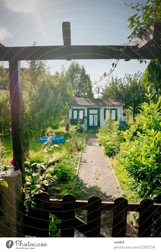 Green, blue and friendly Cloudless sky Summer Plant Tree Flower Grass Bushes Leaf Blossom Foliage plant Garden Garden allotments Garden plot Hut Lanes & trails