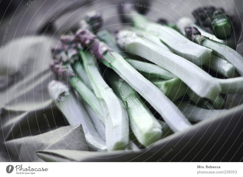 asparagus Food Vegetable Asparagus Organic produce Calm Colour photo Subdued colour Exterior shot Copy Space left Contrast Shallow depth of field