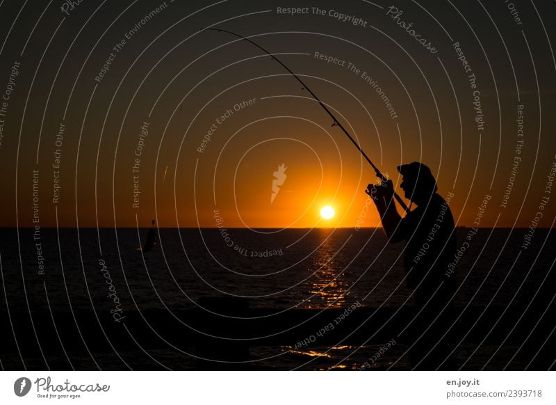 bitten into Leisure and hobbies Fishing (Angle) Vacation & Travel Summer Summer vacation Sun Ocean Man Adults 1 Human being Nature Horizon Sunrise Sunset